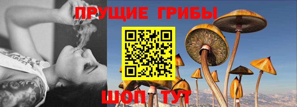 Серпухов  наркотики  Галлюциногенные грибы GOLDEN TEACHER  Вход с VPN  Галлюциногенные грибы Psilocybine cubensis 